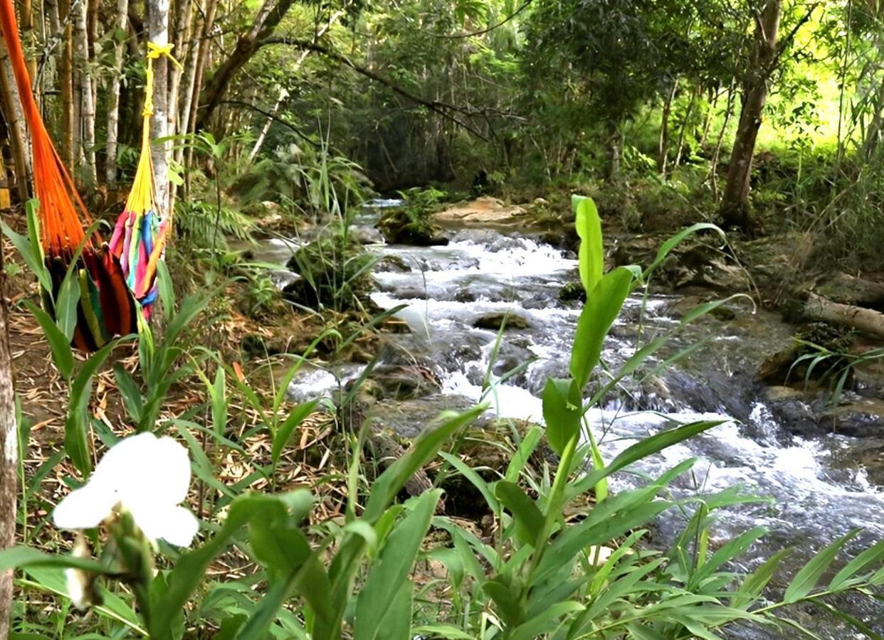 Reserva Ecologica Vive Copalitilla Villa San Miguel del Puerto Bagian luar foto