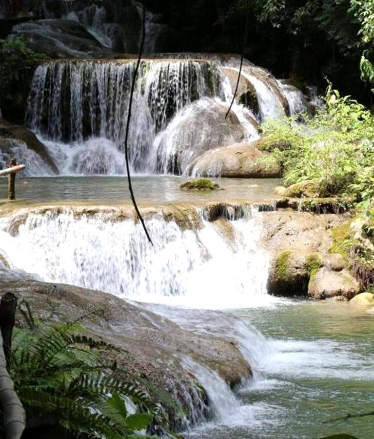 Reserva Ecologica Vive Copalitilla Villa San Miguel del Puerto Bagian luar foto