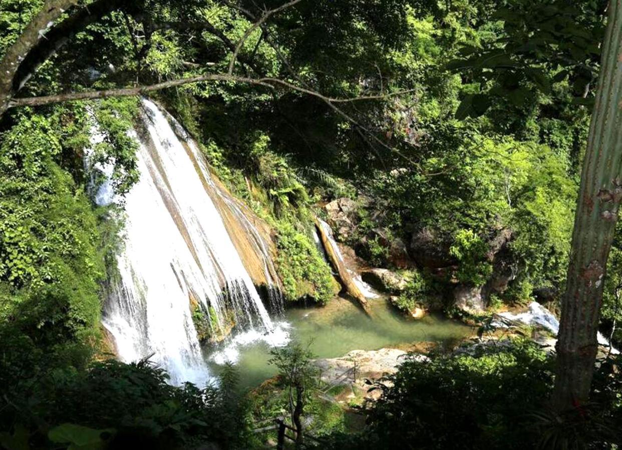 Reserva Ecologica Vive Copalitilla Villa San Miguel del Puerto Bagian luar foto