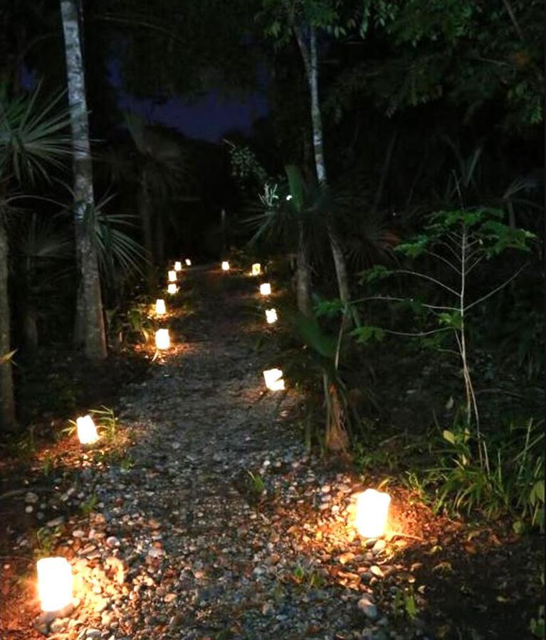 Reserva Ecologica Vive Copalitilla Villa San Miguel del Puerto Bagian luar foto