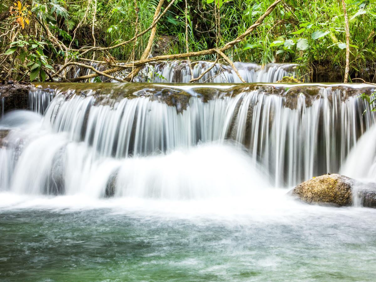 Reserva Ecologica Vive Copalitilla Villa San Miguel del Puerto Bagian luar foto