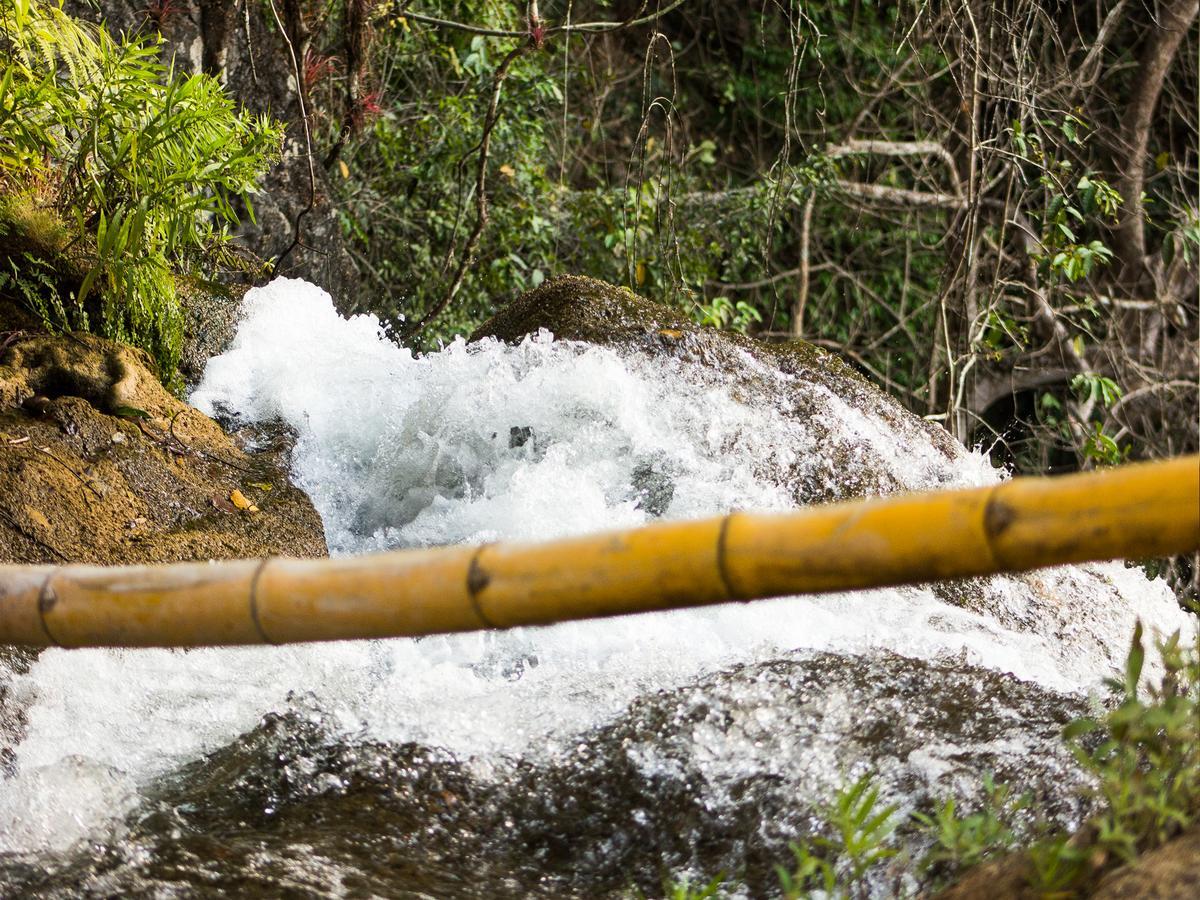 Reserva Ecologica Vive Copalitilla Villa San Miguel del Puerto Bagian luar foto